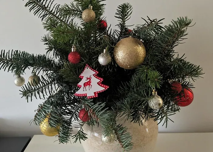 Modern In Near Center *