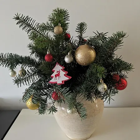 Modern In Near Center *